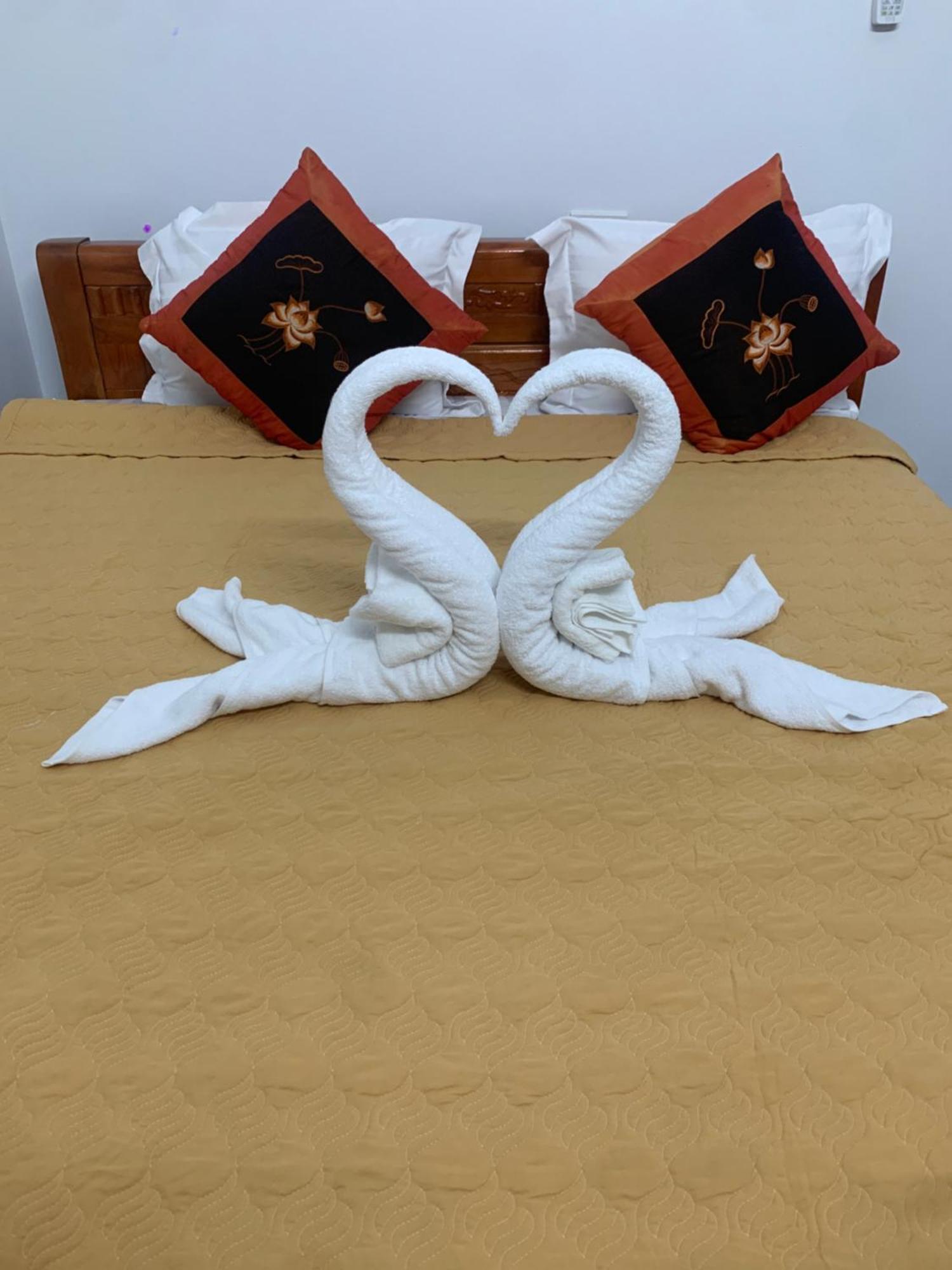 Tam Coc White Swan Homestay Ниньбинь Экстерьер фото