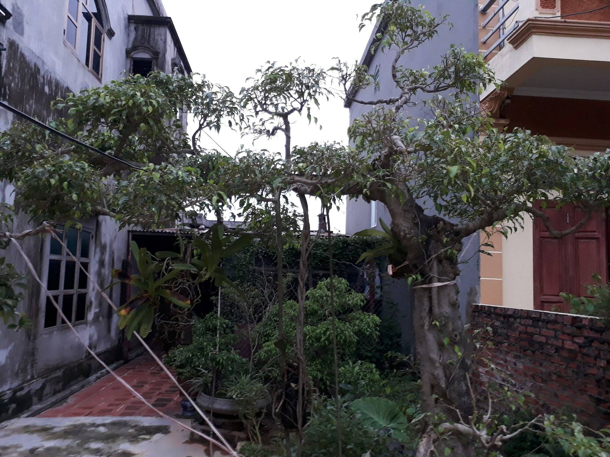 Tam Coc White Swan Homestay Ниньбинь Экстерьер фото